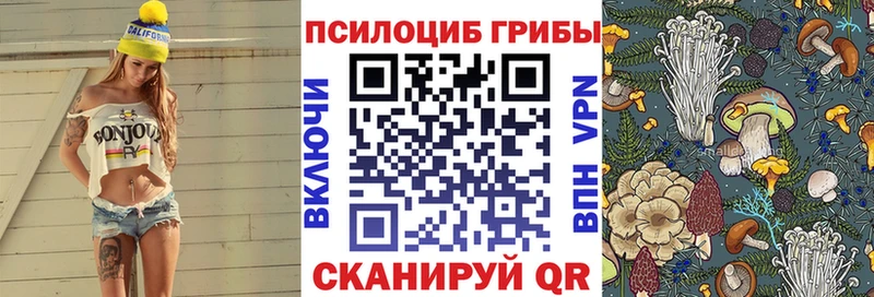 Псилоцибиновые грибы Psilocybine cubensis  сайты даркнета клад  Адыгейск 